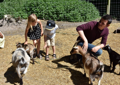 Klap en ged i Orøstrand Dyrepark